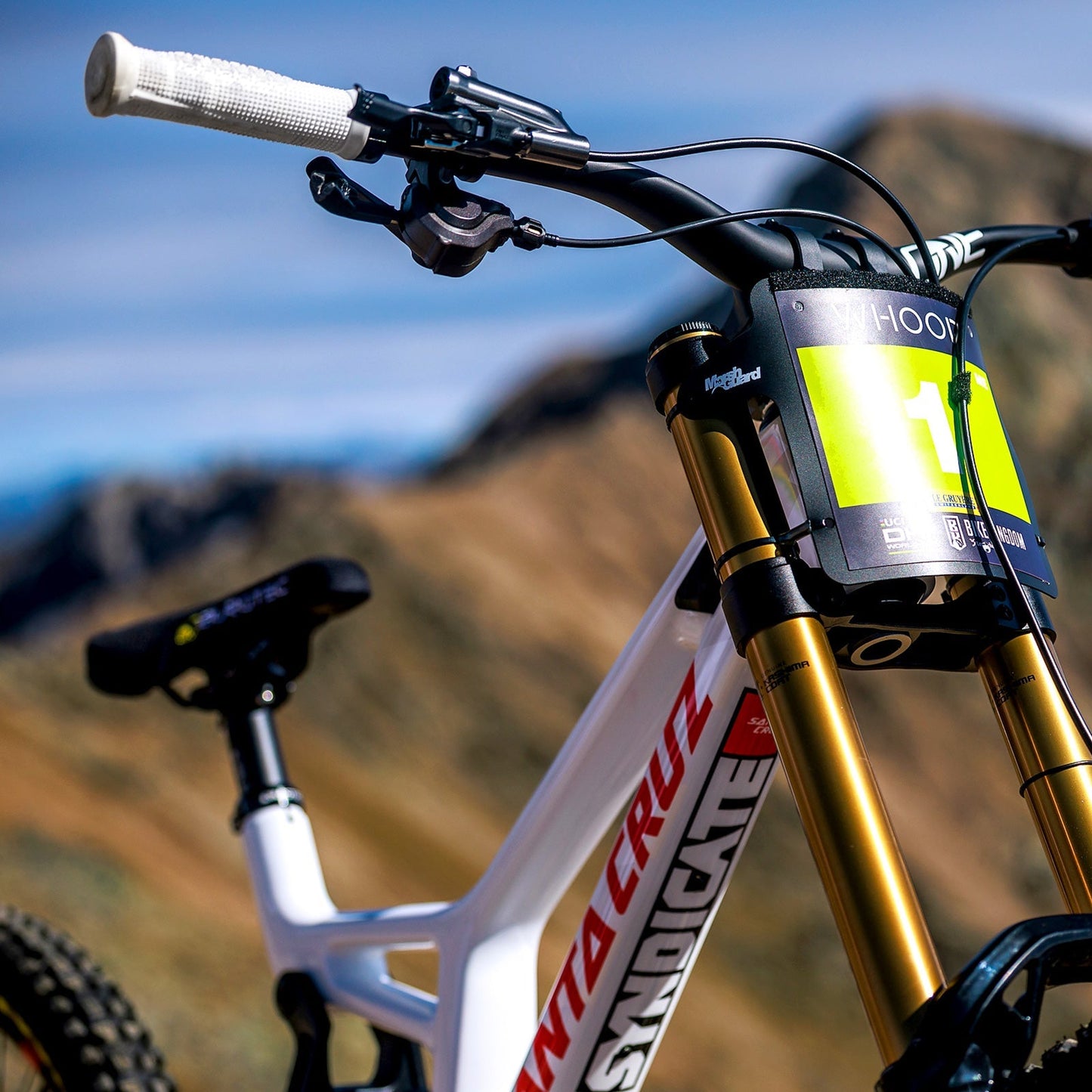 Goldstone Grips